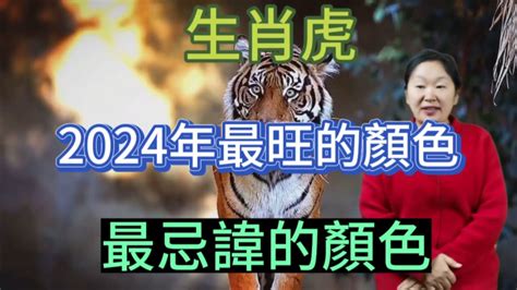 屬 虎 禁忌顏色|【屬虎顏色】屬虎人必看！2024年開運指南：揭秘幸。